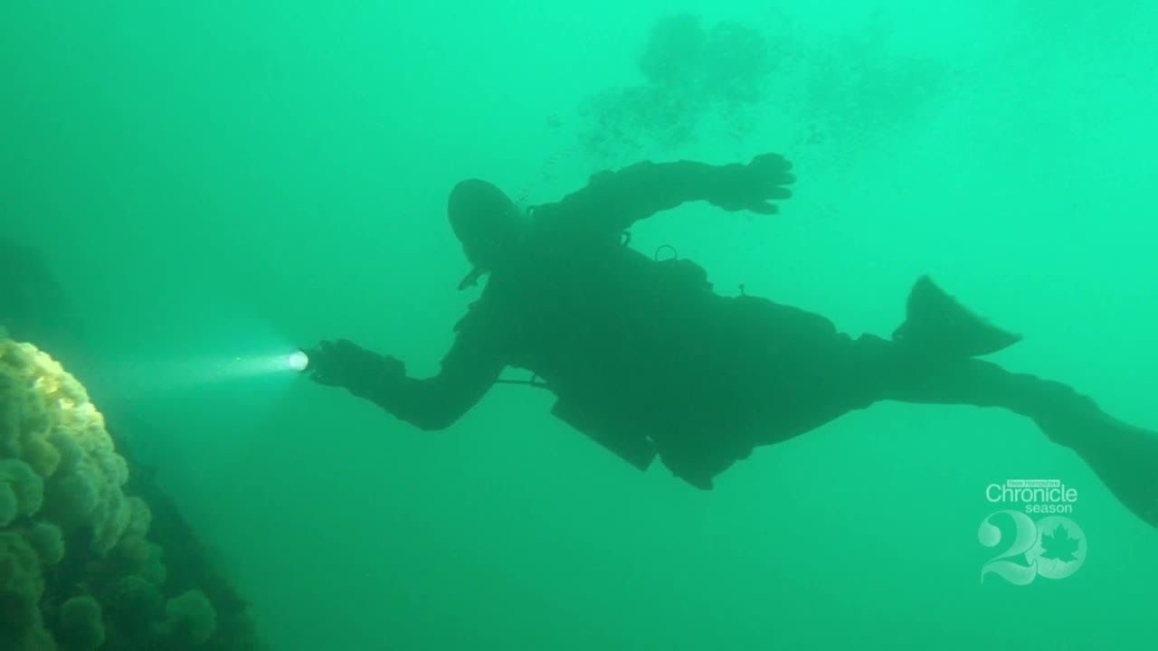 Monday, February 22nd: Nudibranchs Diving