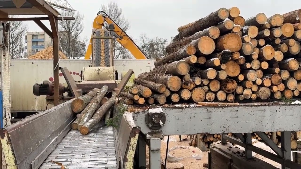 Mega Epic Work with Wood | Extreme Professional Skills 