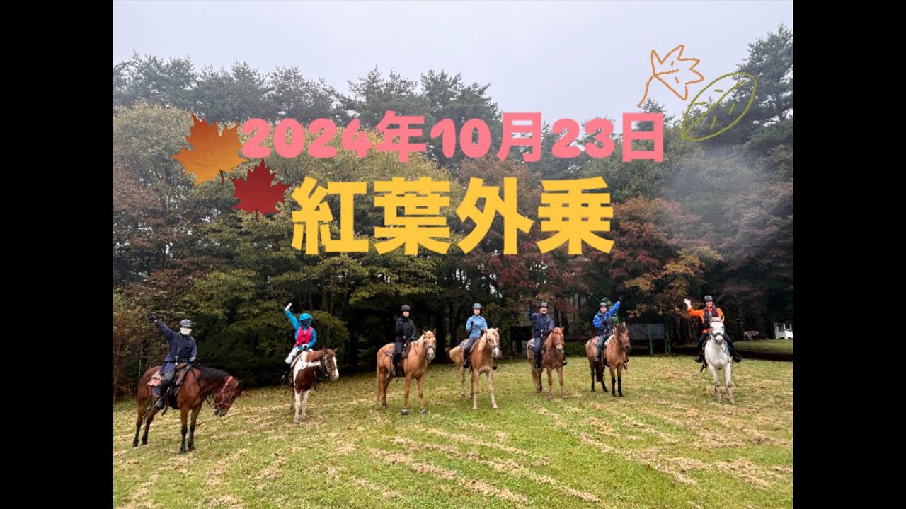 【八ヶ岳】2024年10月23日紅葉外乗