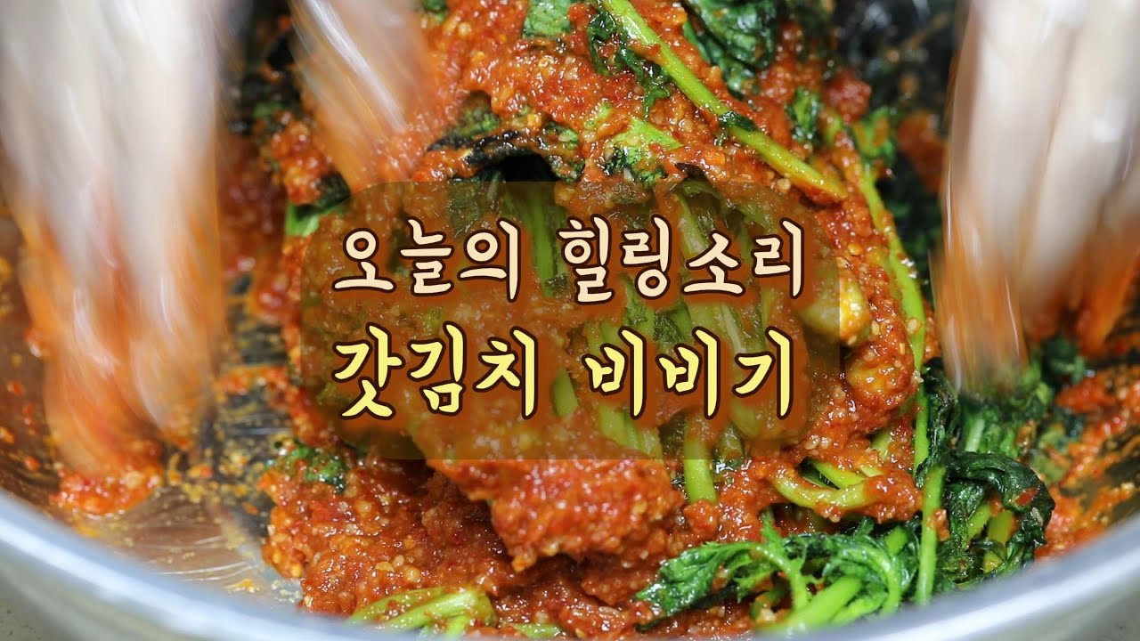 [ASMR] 오늘의 힐링소리 |  갓김치 비비기
