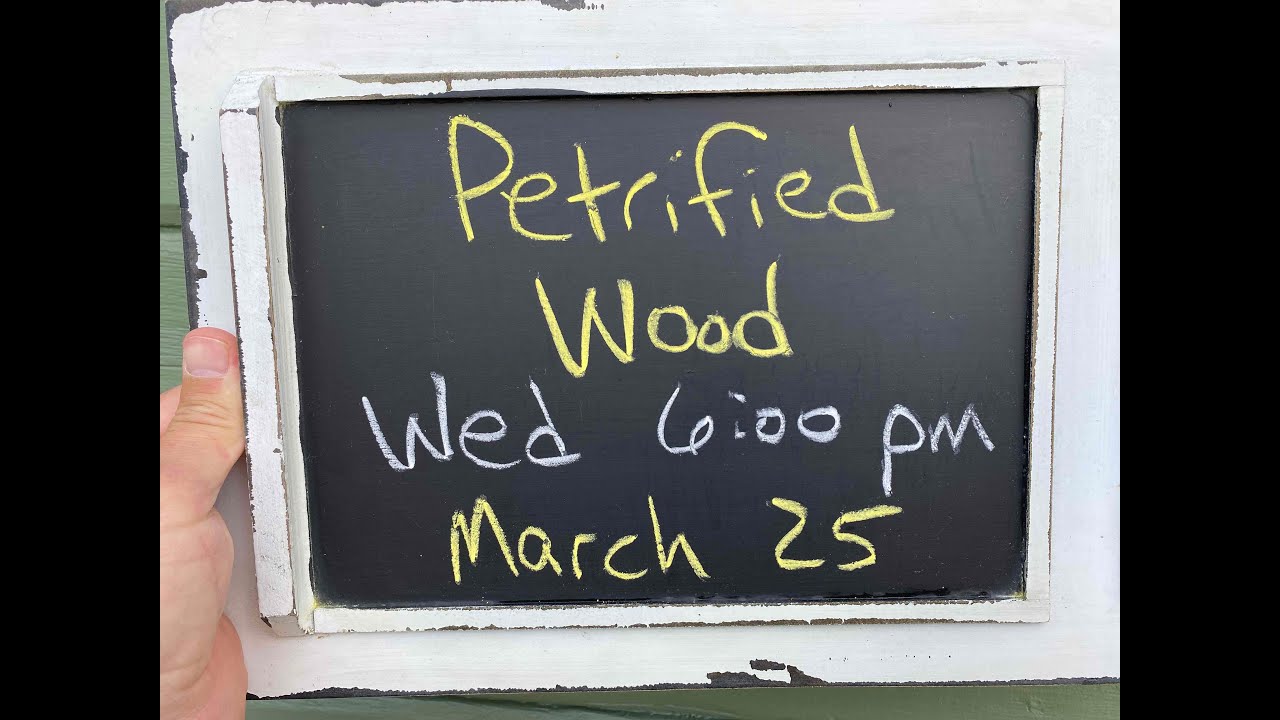 ‘Nick From Home’ Livestream #7 - Petrified Wood