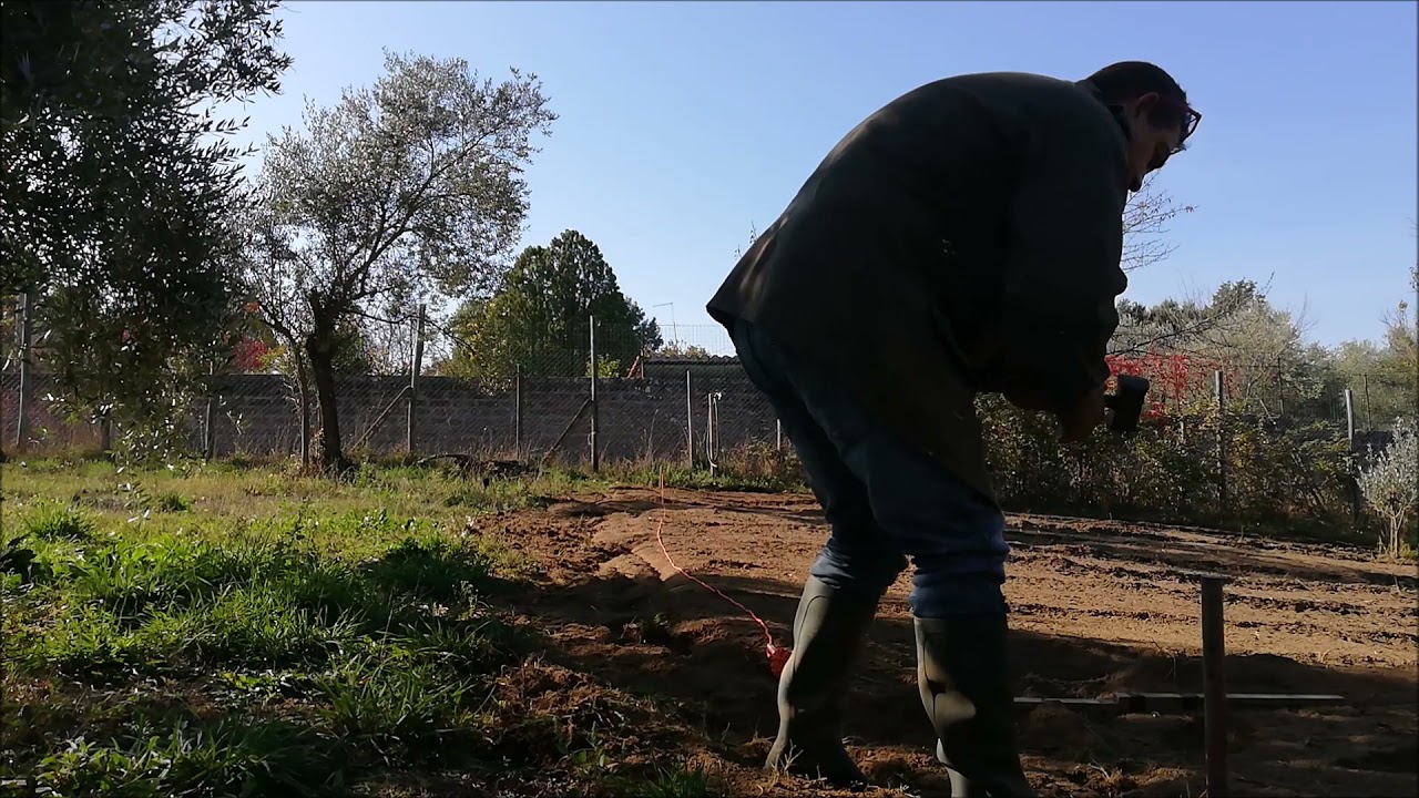concimiamo il terreno e seminiamo le fave!