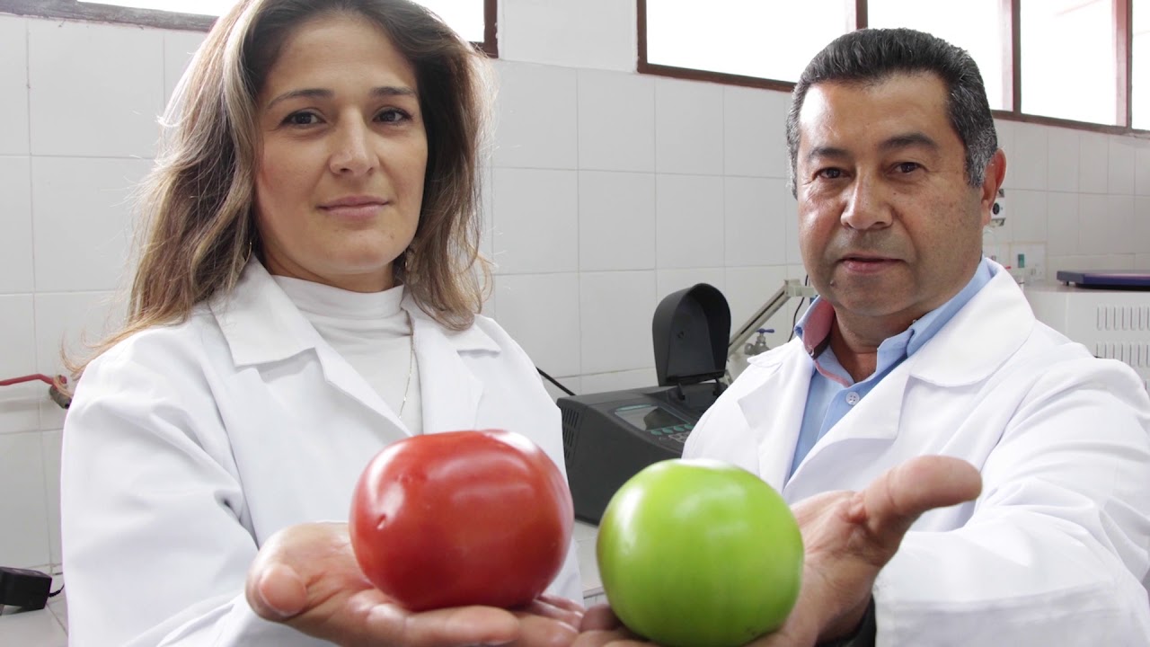 VICERRECTOR&Iacute;A DE INVESTIGACIONES 2020