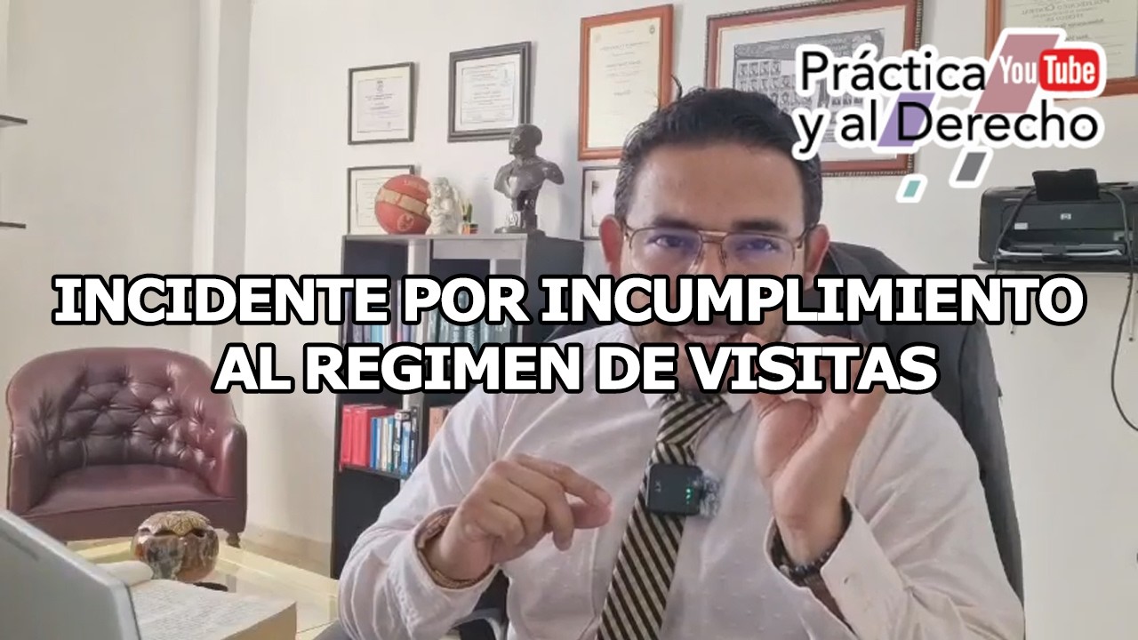 INCIDENTE POR INCUMPLIMIENTO AL REGIMEN DE VISITAS