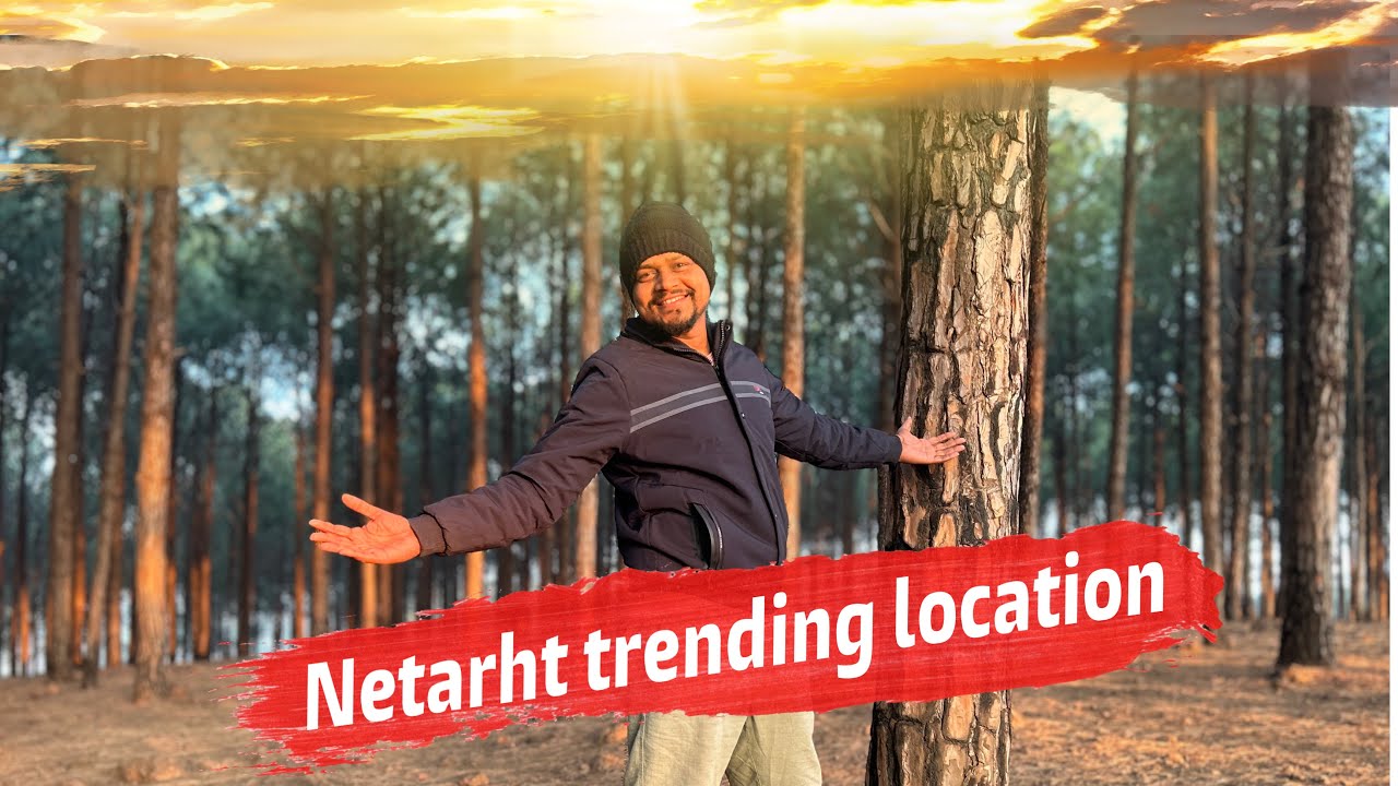 Koel View Point - Shimla जैसा नज़ारा Netarhat में 😍Best Sunrise | Pine Trees🌲Camping & Hotel Tour