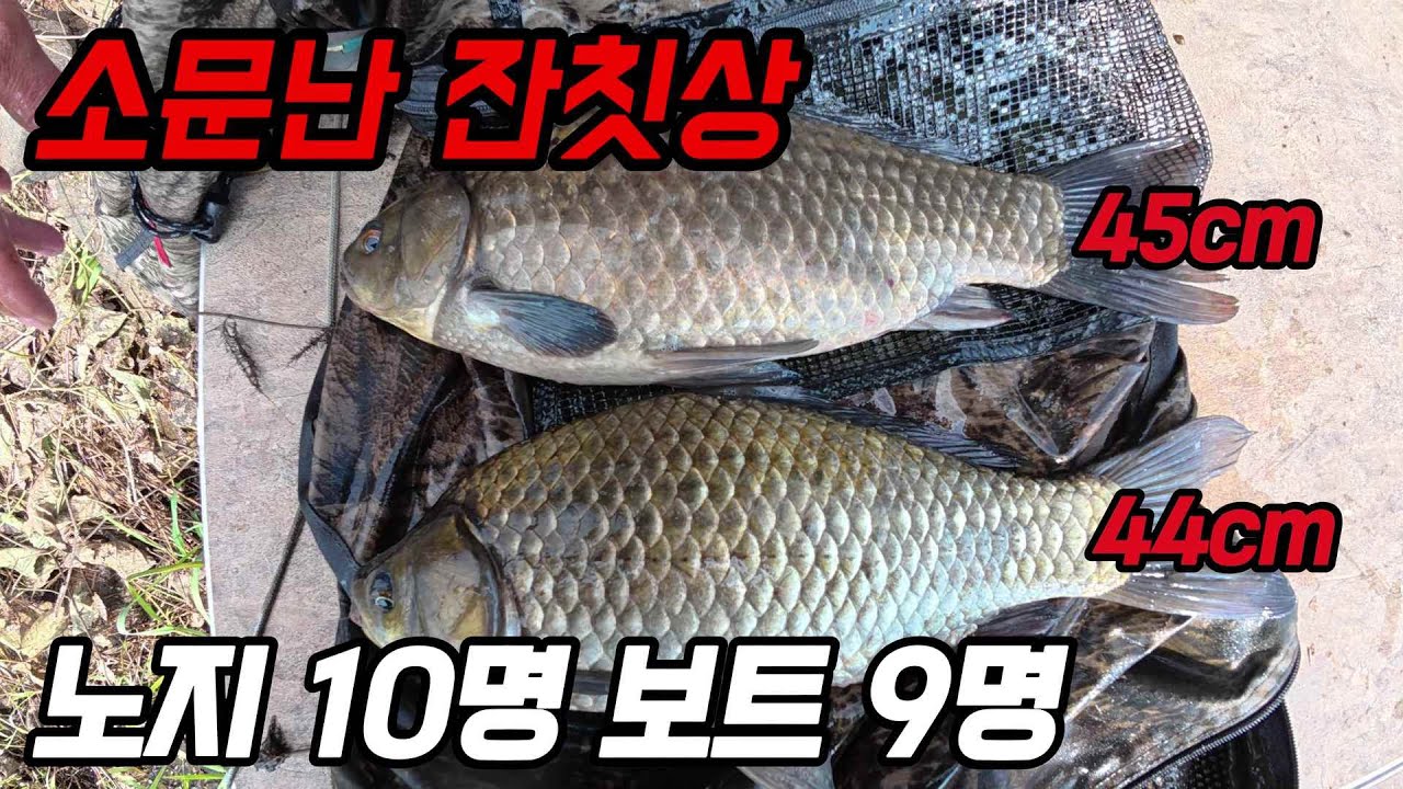 충남 4짜붕어가 나오는곳! 마지막엔 엄청큰 대어를??