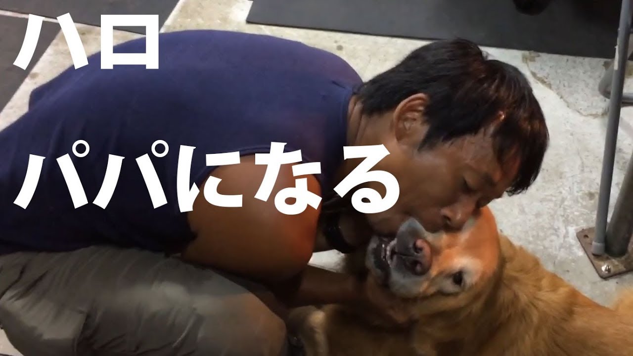 わんわんちゅっちゅペロペロ動画