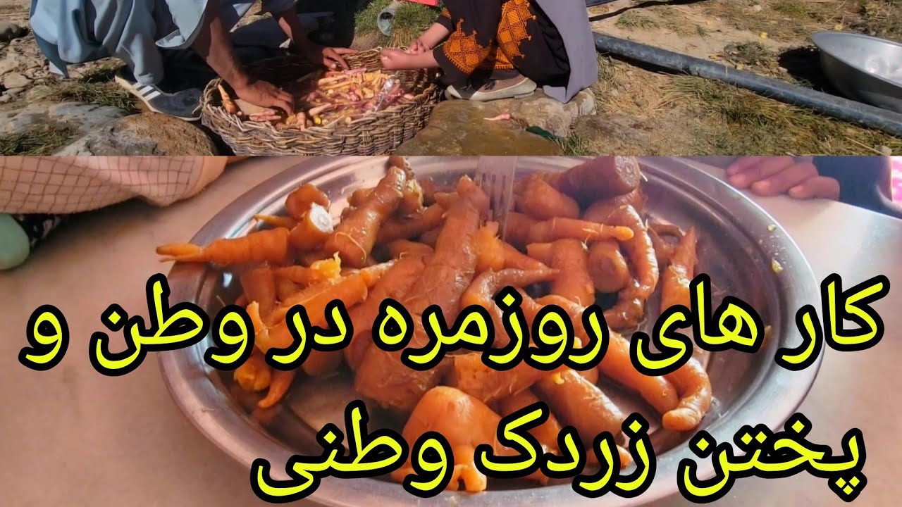 کار های روزمره در وطن #جاغوری # کار وطن