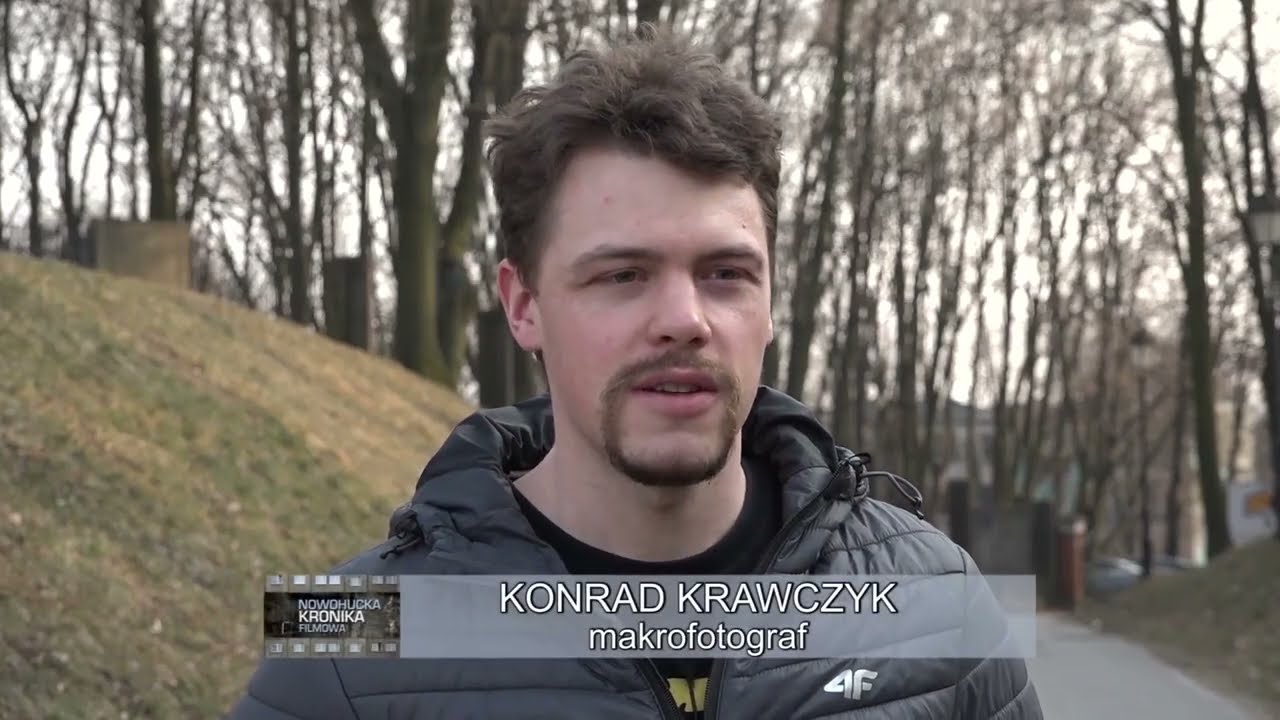 Nowohucka Kronika Filmowa nr  667