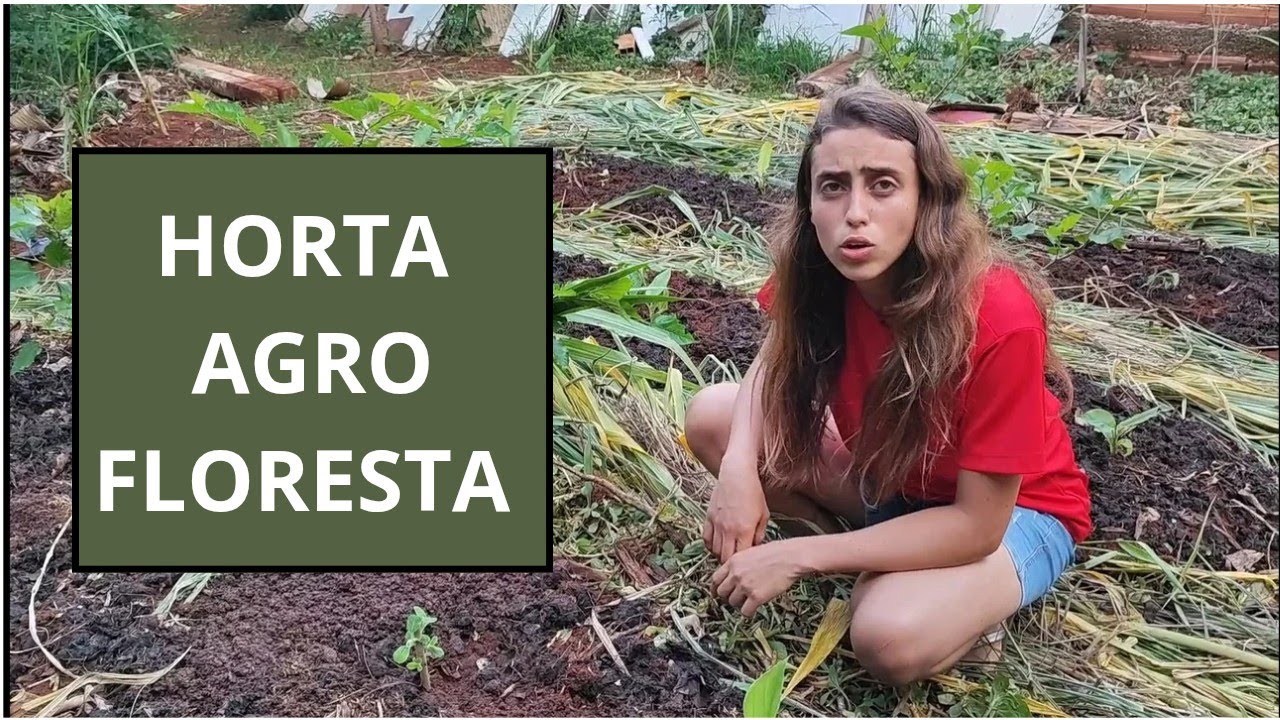 Minha Horta Agrofloresta 