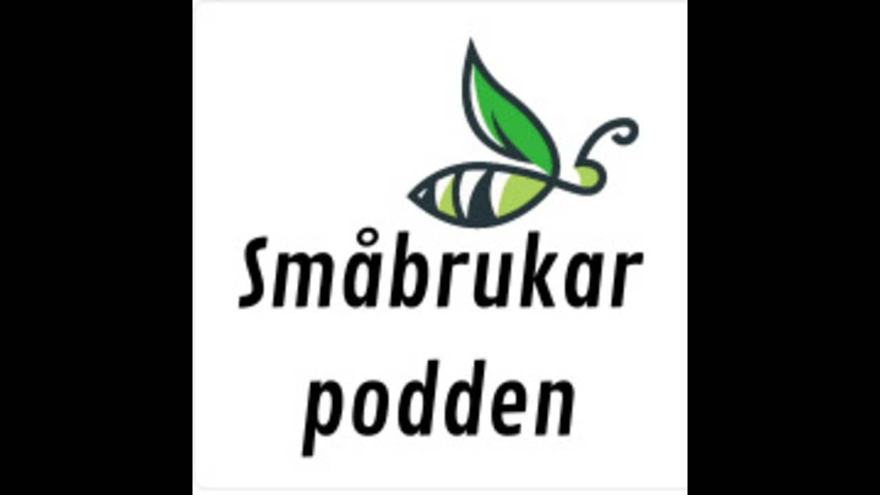 Vi har dragit ner vår matbudget med hälften