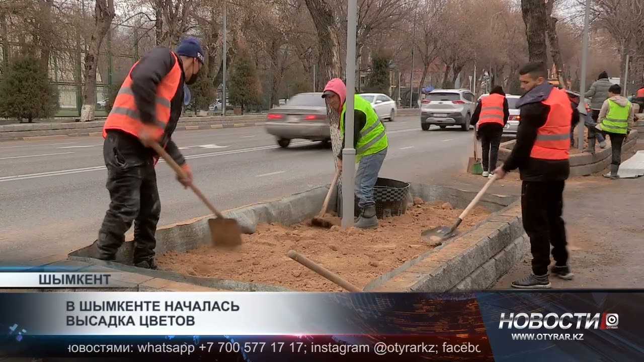 В Шымкенте высадят около четырёх миллионов цветов