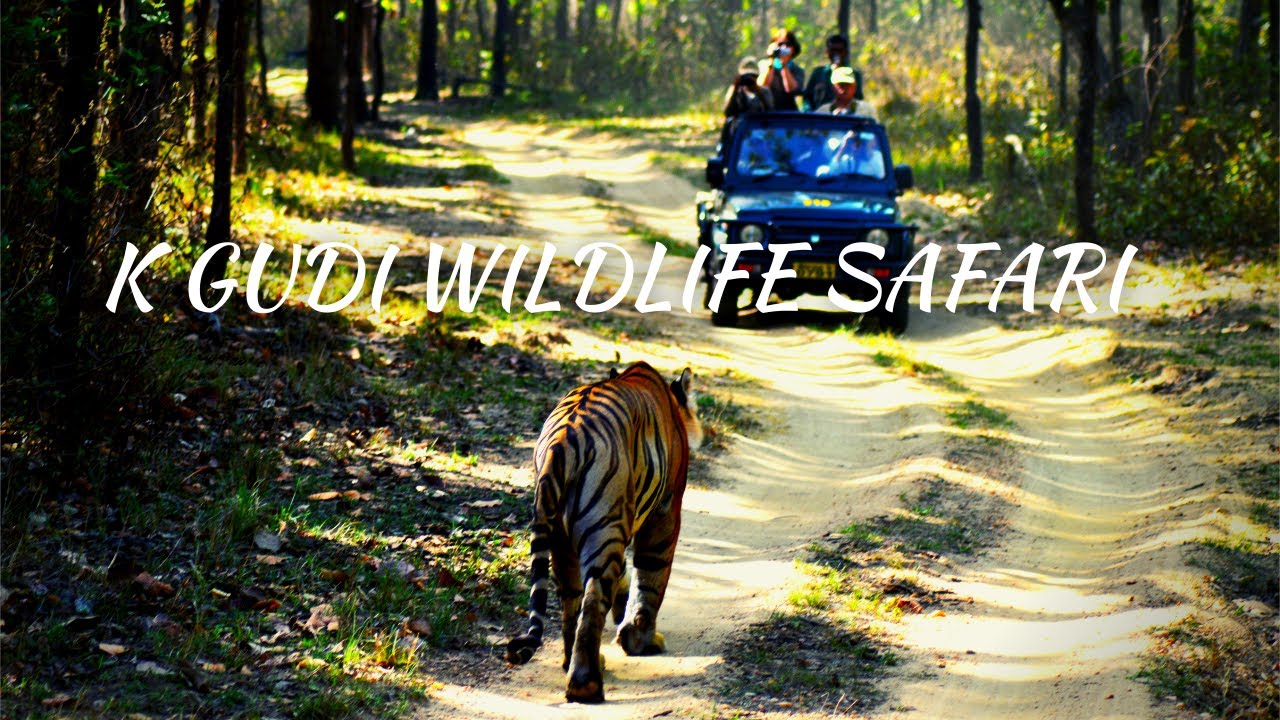 Bangalore Weekend Getaways| B.R, Hills | Part 3 |  | Karnataka Tourism