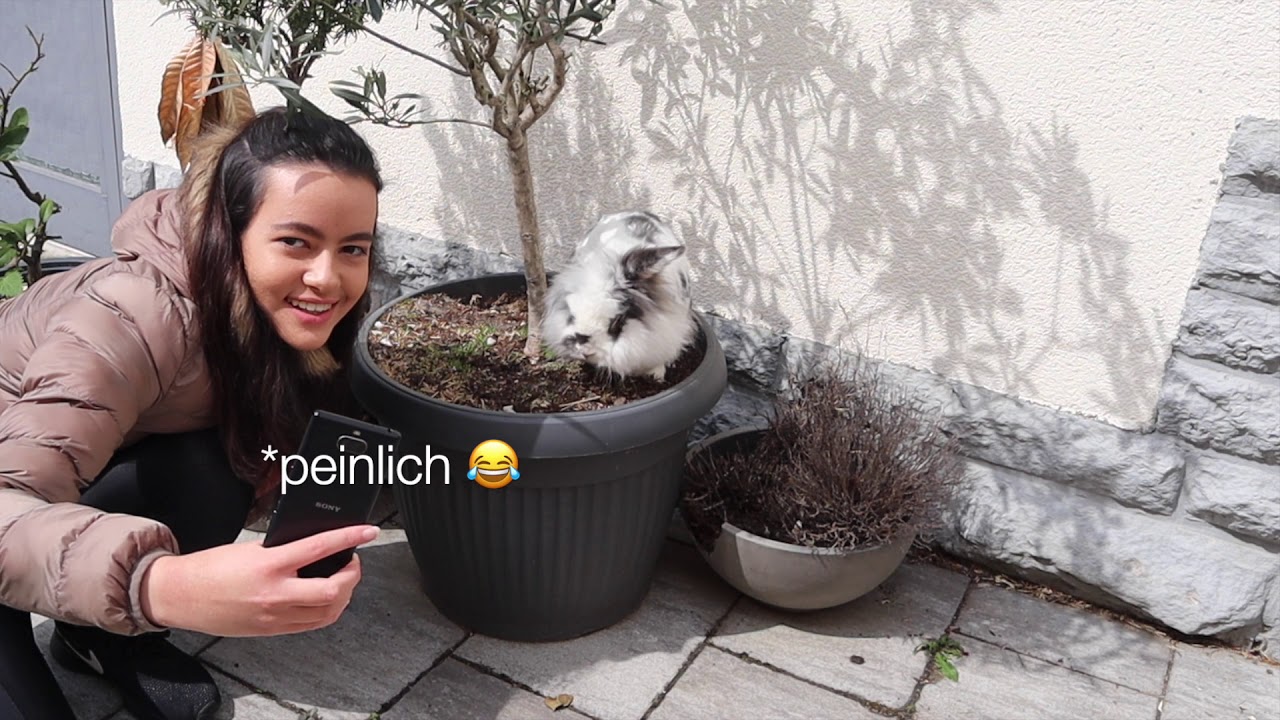 10 typische Situationen mit meinen Kaninchen😂 | M. Mörki