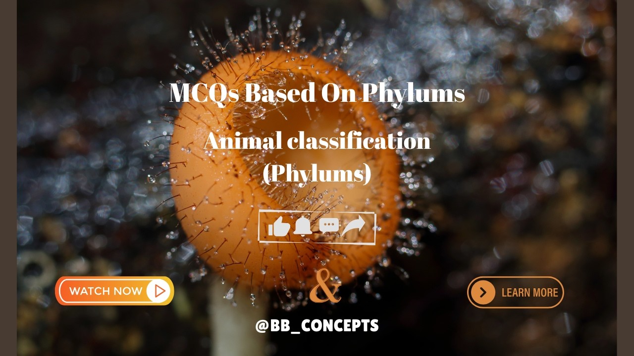 MCQs based on Phylums @SaviVenam9297 