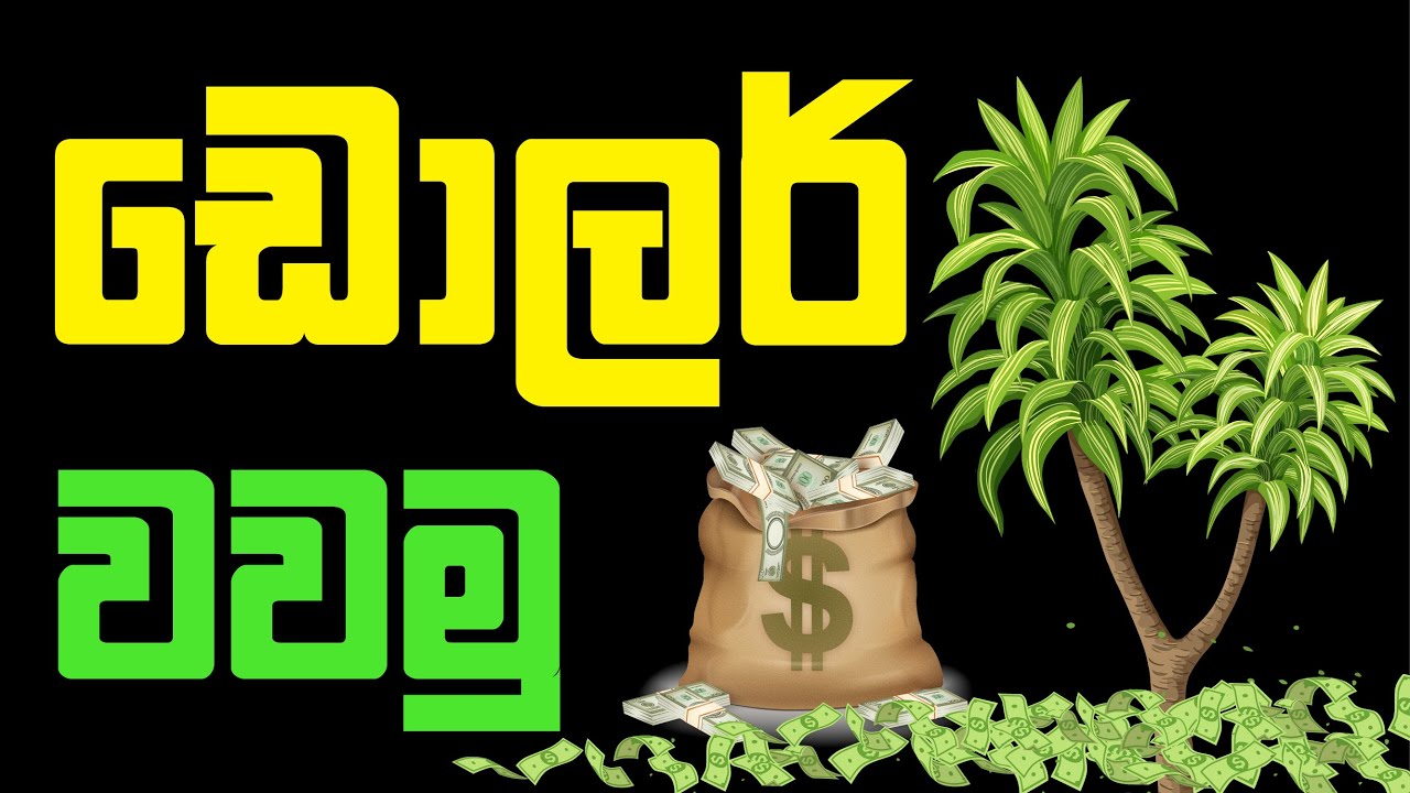 විසිතුරු ශාක පත්‍ර අපනයනයෙන් ඩොලර් උපයමුද? / Let's earn dollars through exporting ornamental foliage
