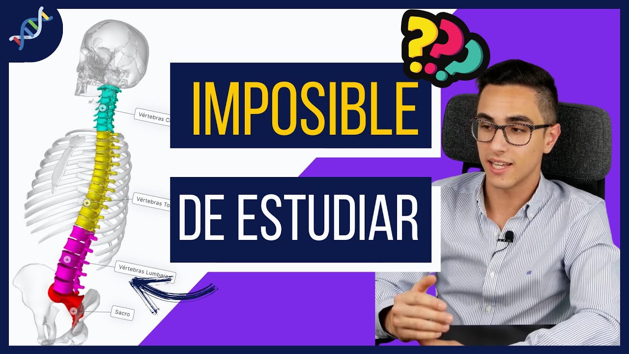Columna Vertebral Anatomía😲 FACIL EXPLICACION✅ Partes de la Columna y sus Funciones