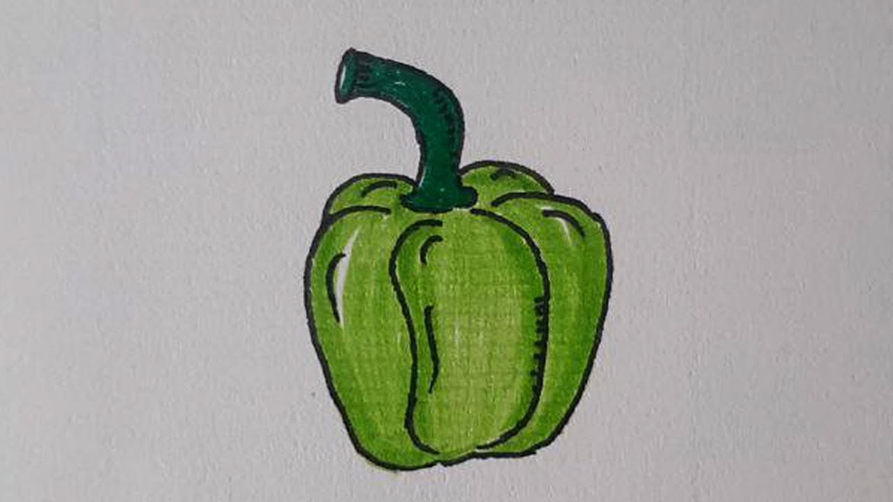 How to Draw A Bell Pepper Step By Step | Drawing Bell Pepper