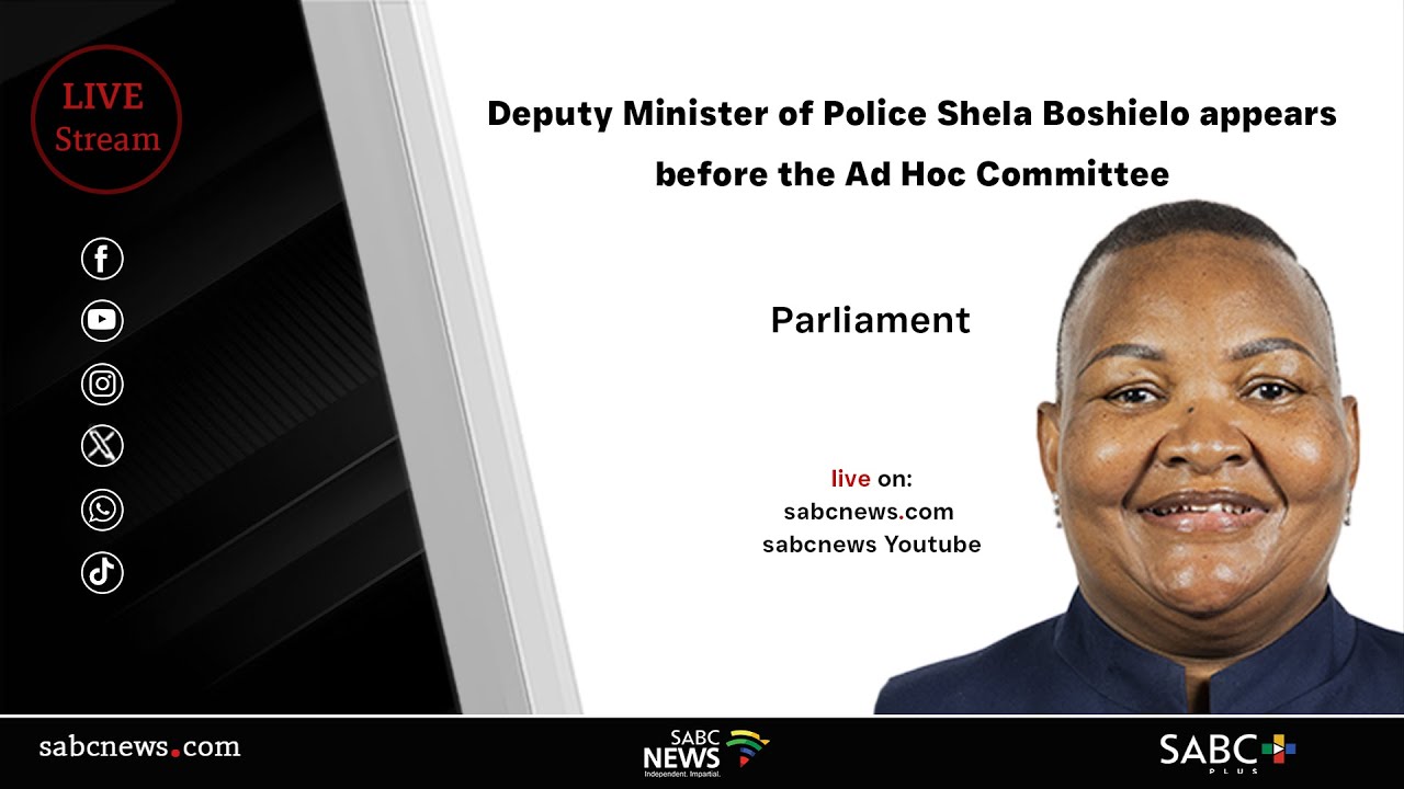 Parliament Ad Hoc Committee | Deputy Minister of Police, Shela Boshielo