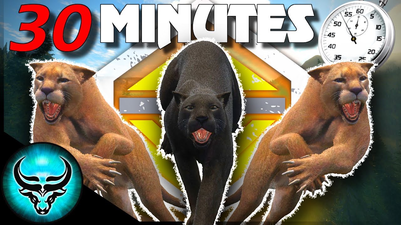 30 Minutes to Hunt Down a Melanistic & Diamond Mountain Lion | Call of the Wild