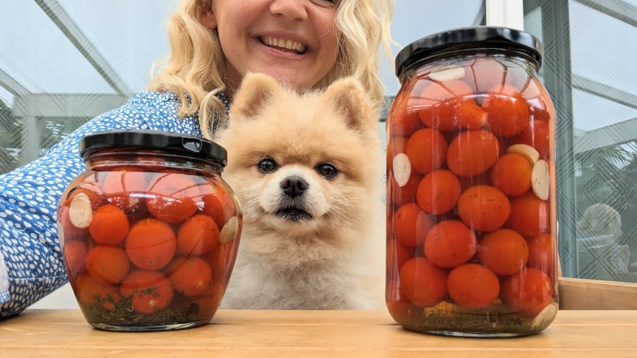 Tomaten einmachen, lange haltbar und sehr lecker, einkochen, einlegen Tomaten Rezepte