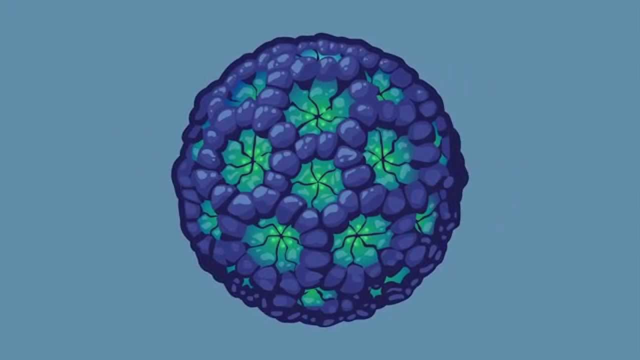 Transmission of Norovirus