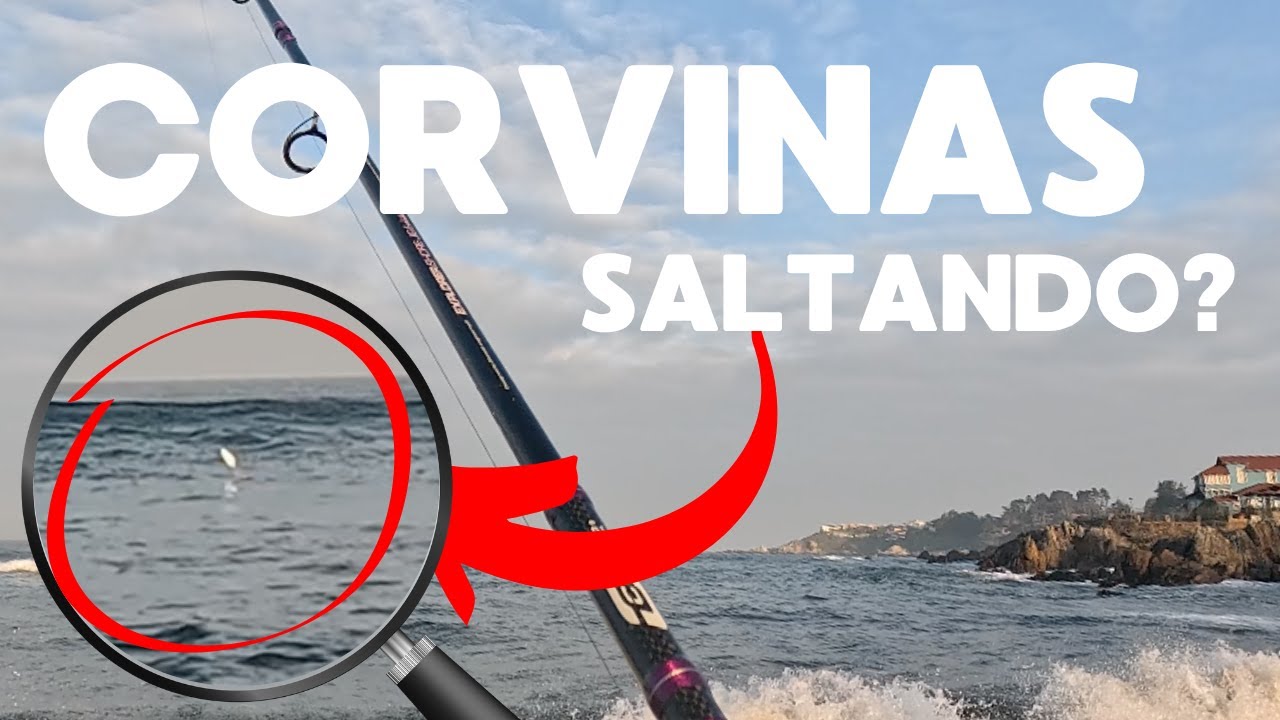 Peces saltando en la costa... &iquest;corvina, jurel o cabinza?