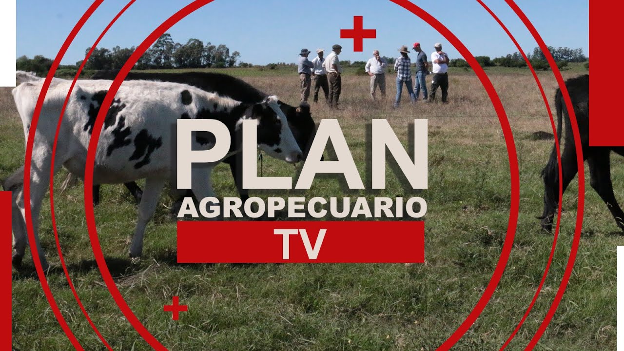 Programa del Plan Agropecuario del 15 de abril de 2024