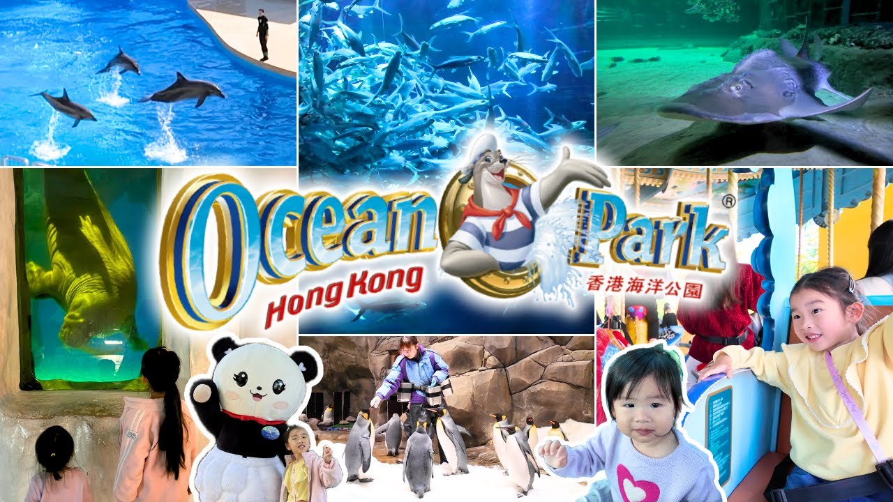 Ocean Park Hong Kong 🐼 | Family Fun Day with Kids – Rides & Shows!