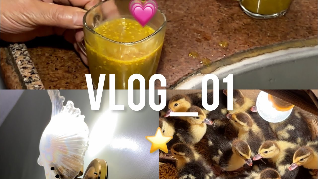 Vlog_01 يوم في بيت الجدة بعد الفاينال. أدفئ منزل ،أحن جدة.