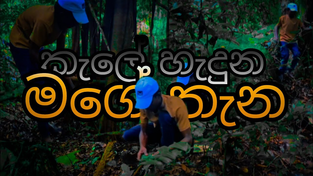 Built a cooking area in the forest | Enjoy the feeling and beauty of nature