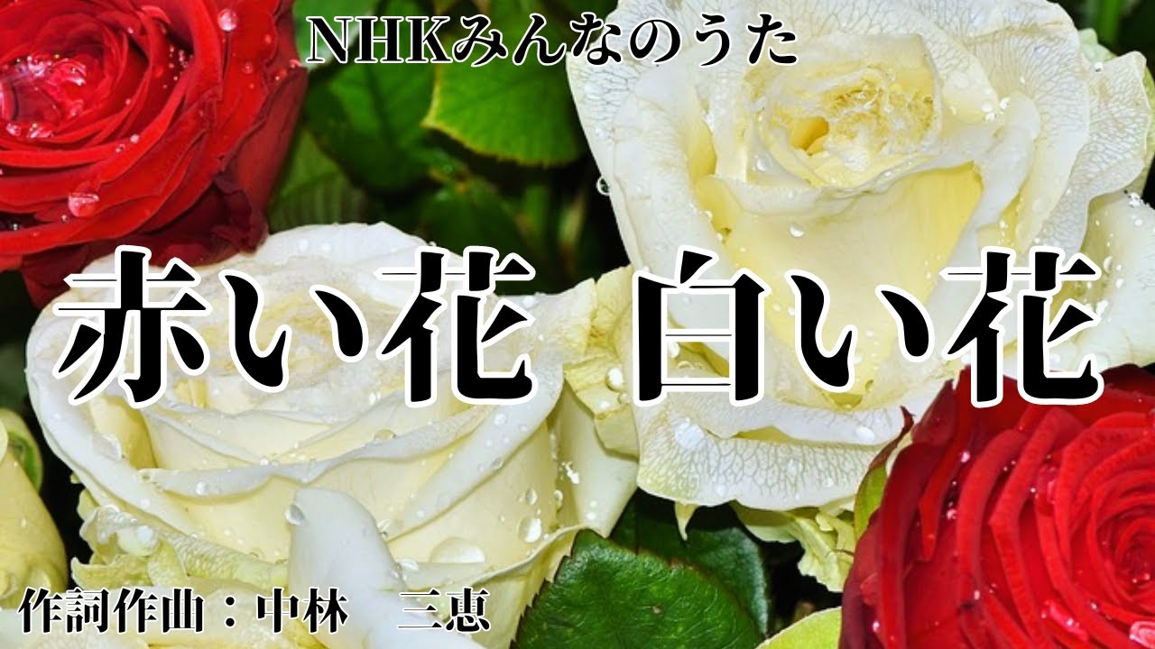 【カラオケ】赤い花 白い花 / 芹 洋子【オフボーカル メロディ有り karaoke】