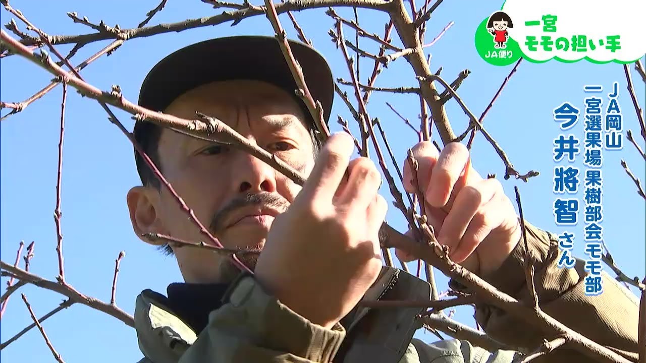 祖父の代からのモモづくりを受け継ぐ「一宮 モモの担い手」｜【笑味ちゃん天気予報】2026年2月19日放送