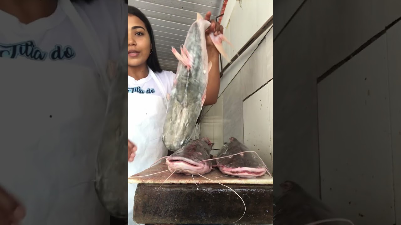 Peixes parecidos, dourada,filhote,piramutaba