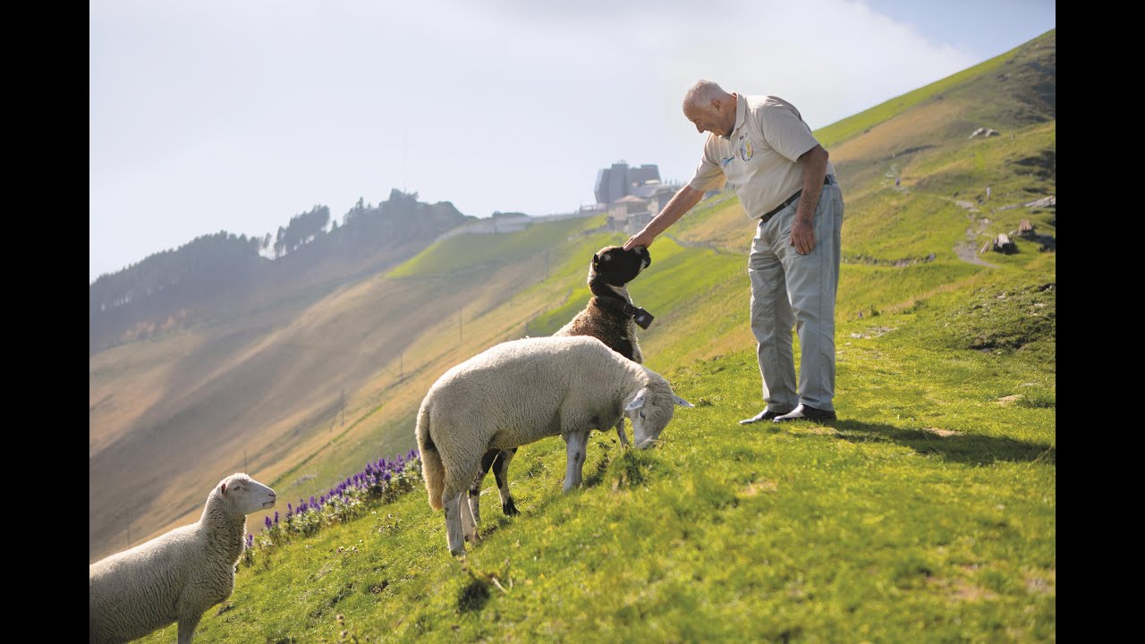 Monte Generoso: Wo die Schafe das Wetter vorhersagen | Tessin, Schweiz