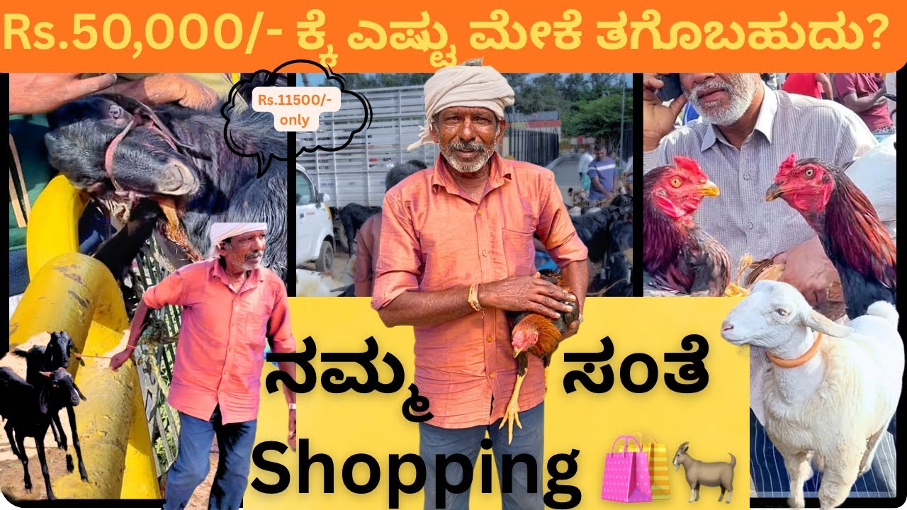 Goats for Rs. 50,000/- in local market | ಸ೦ತ್ತೆ shopping | farmer buying goats in market🐐💰🤑