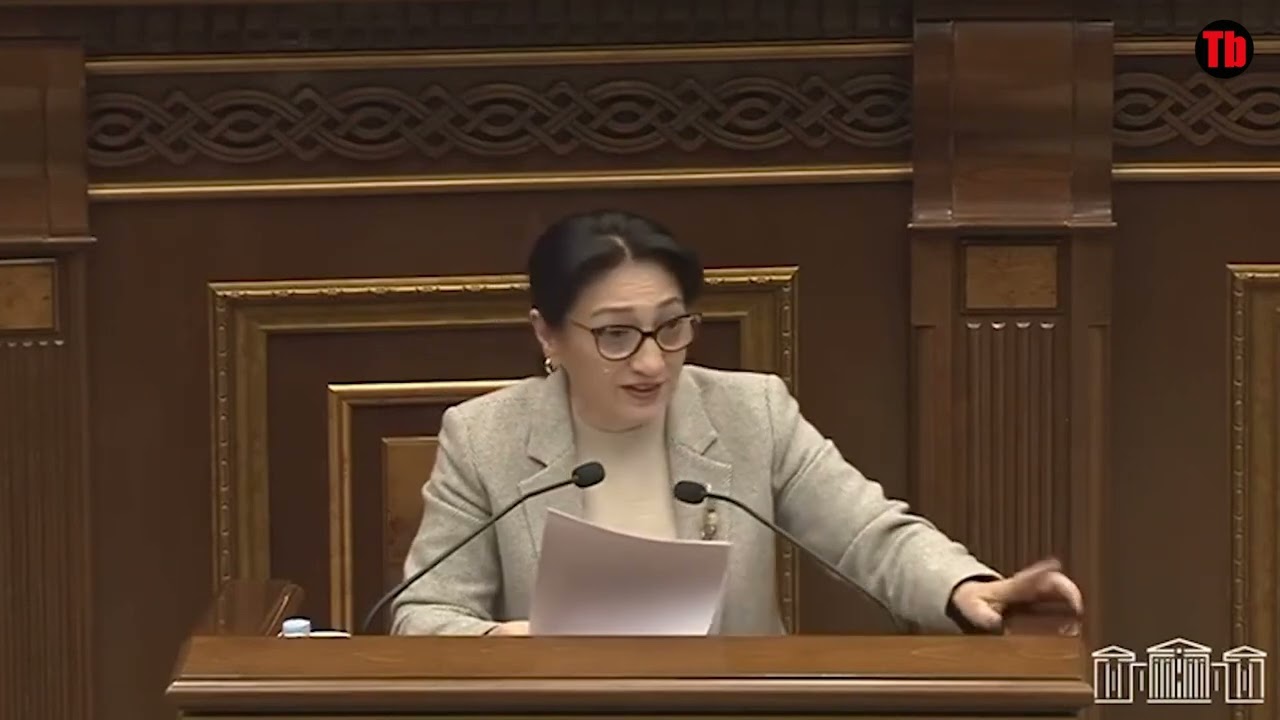 ՎարՔաբեկել չի, վարԿաբեկել է. Լիլիթ Գալստյանը դաս տվեց ՔՊ-ական պատգամավորին