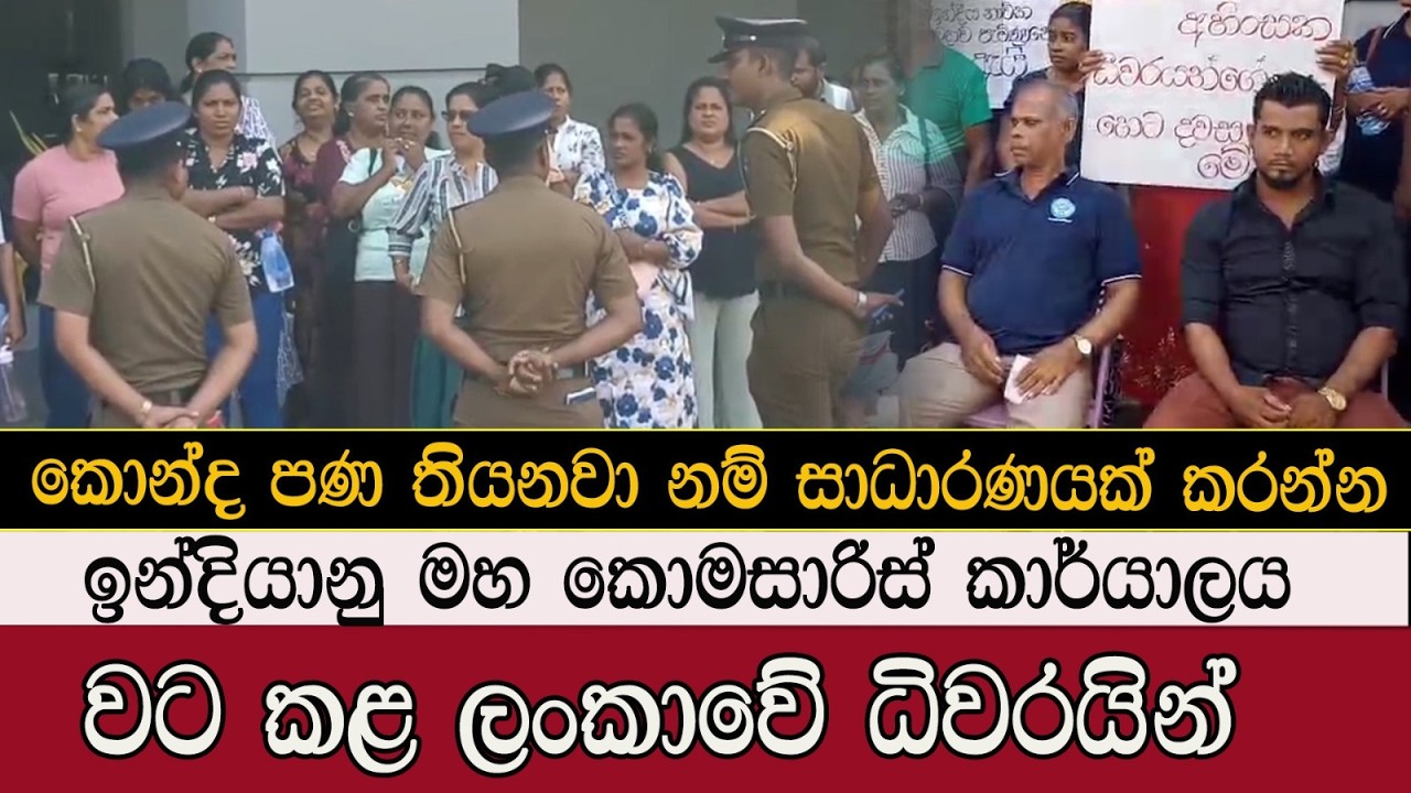 ඉන්දියානු මහා කොමසාරිස් කාර් යාලය වට කළ ලංකාවේ ධිවරයින් #trending #mojonewslk #fish