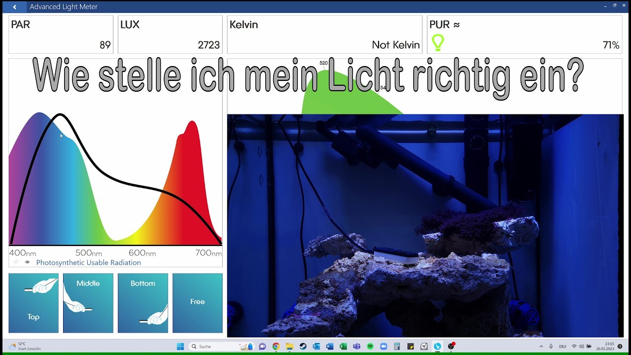 Wir starten ein Meerwasser Makroalgen Aquarium Teil 1: Licht