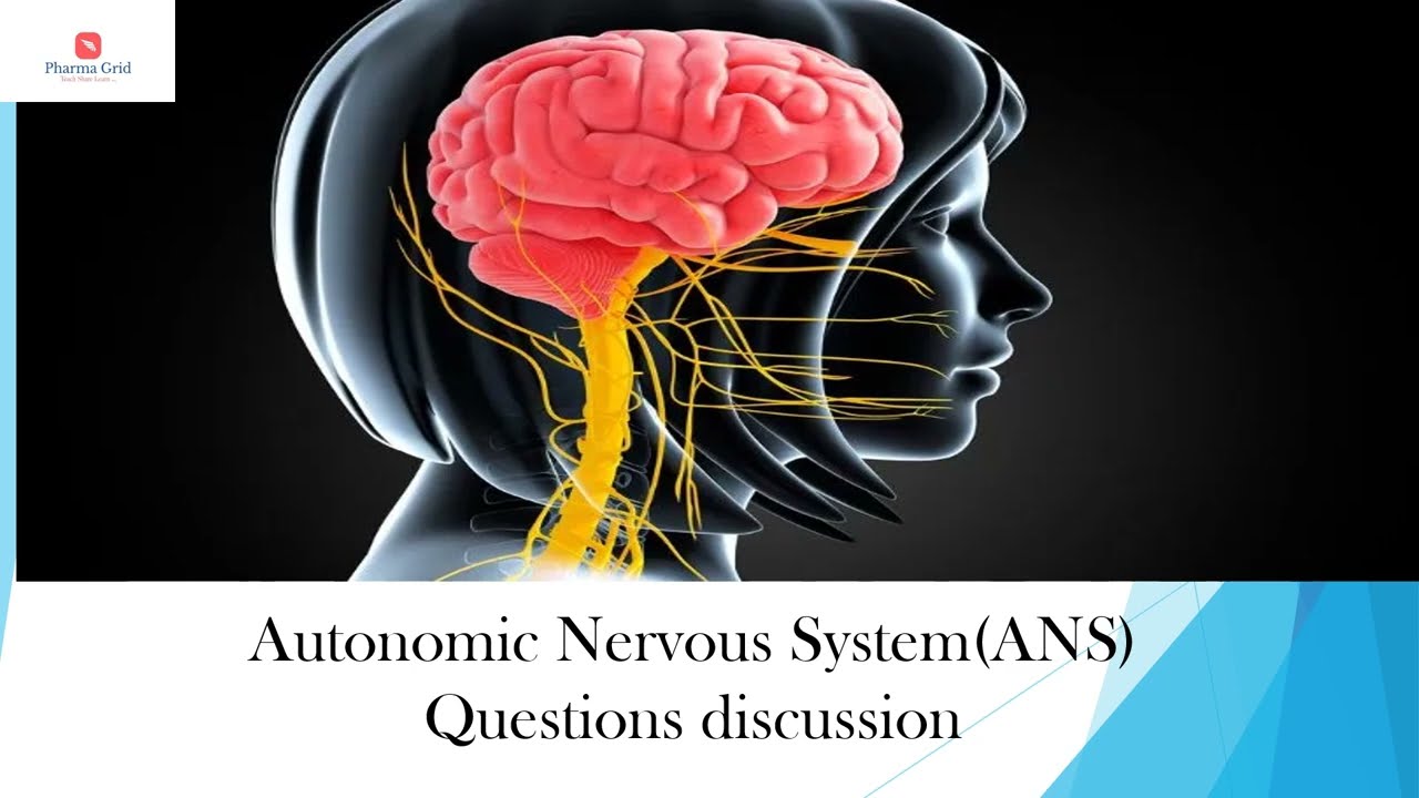 Autonomic Nervous System (ANS)  Questions discussion - Part 1 : Pharmacist exam questions