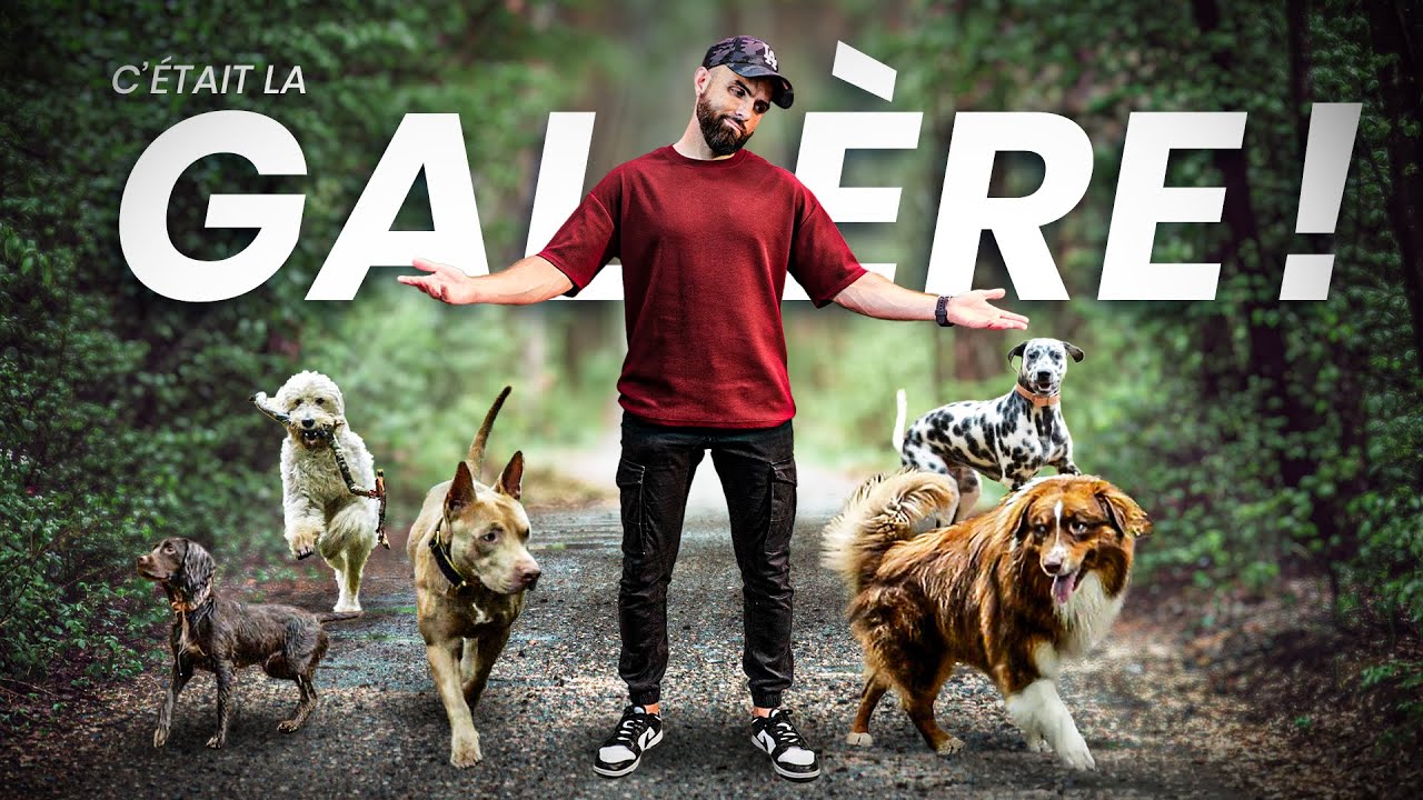Je m’incruste encore en balade avec 5 chiens ! (La pire balade de ma vie ! 😫😂)