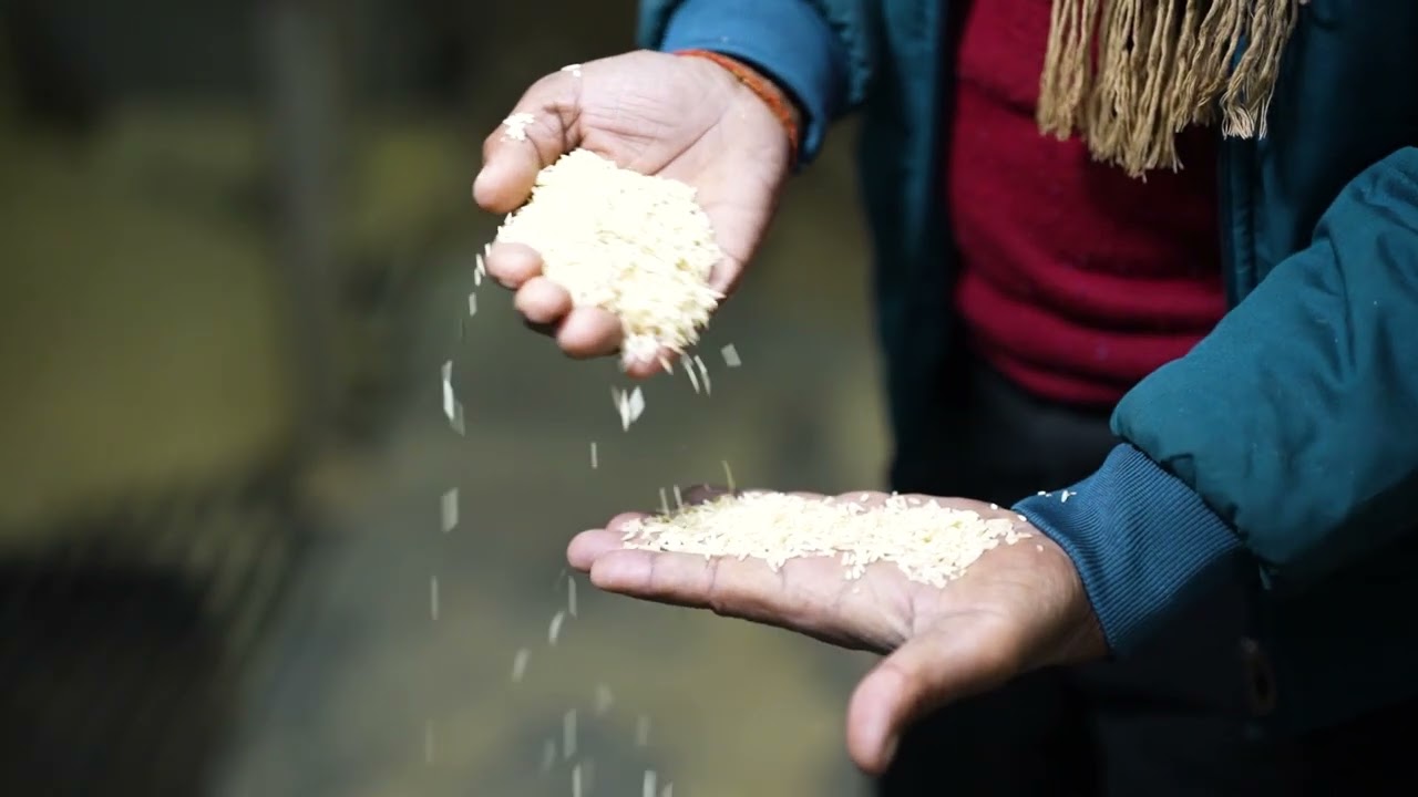 Inside PK Foods | Premium Basmati Rice Manufacturing Unit