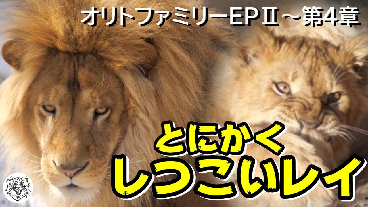 【EP2～第4章】とにかくしつこいレイ🦁Orito Family EpisodeⅡ Chapter 4