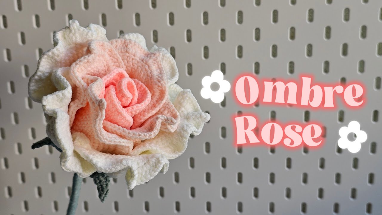 Ombre Rose ถักดอกกุหลาบไล่ระดับสี