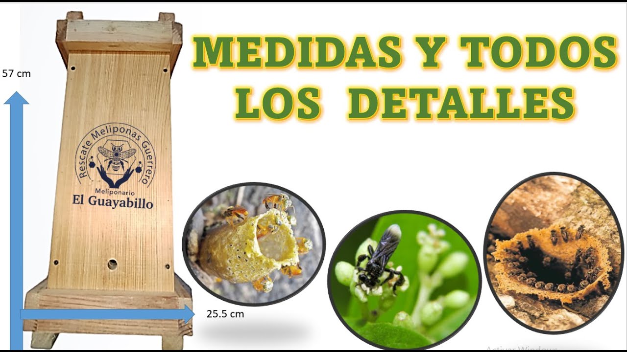 Medidas y Detalles de la Caja modelo AF.