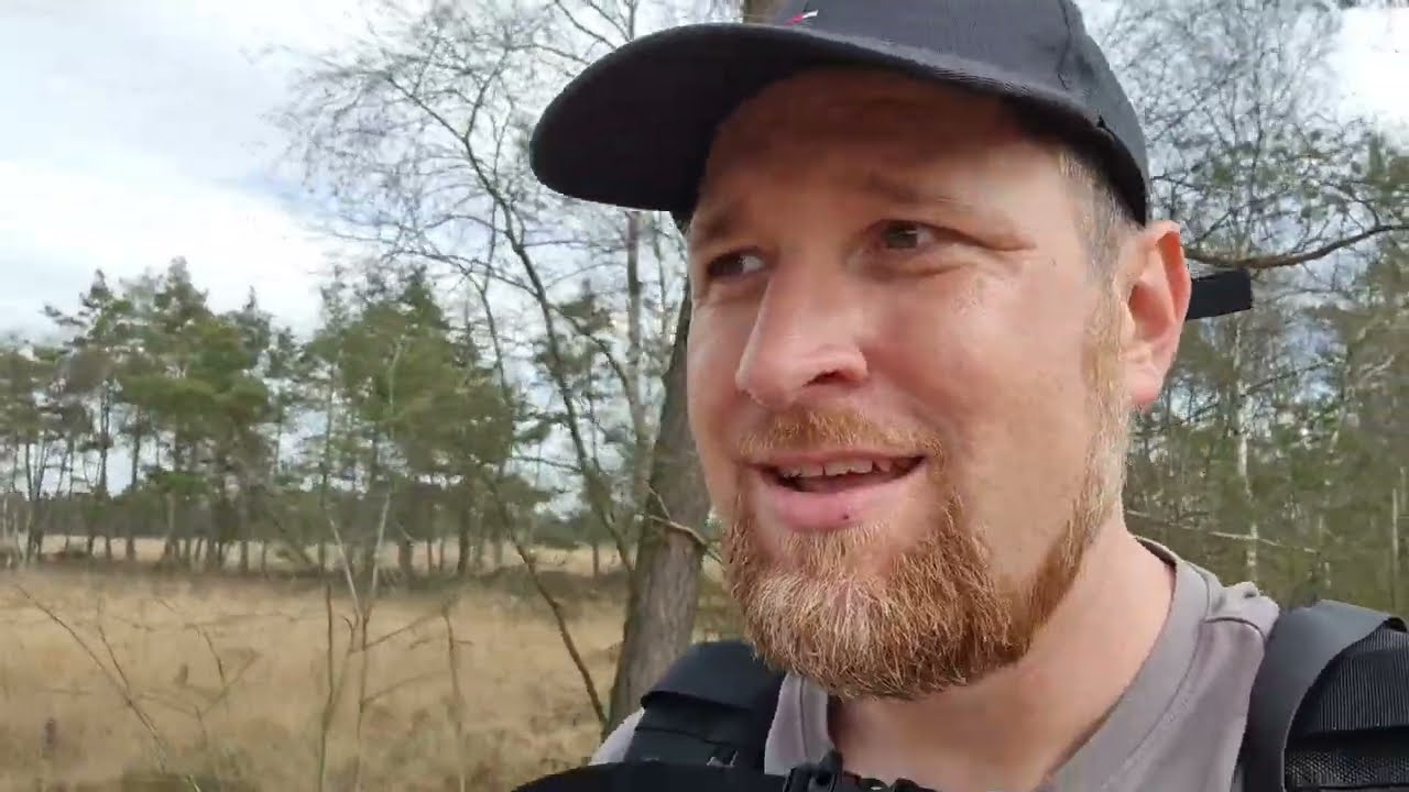 Auf der Suche nach Kreuzottern und Moorfröschen im Pietzmoor