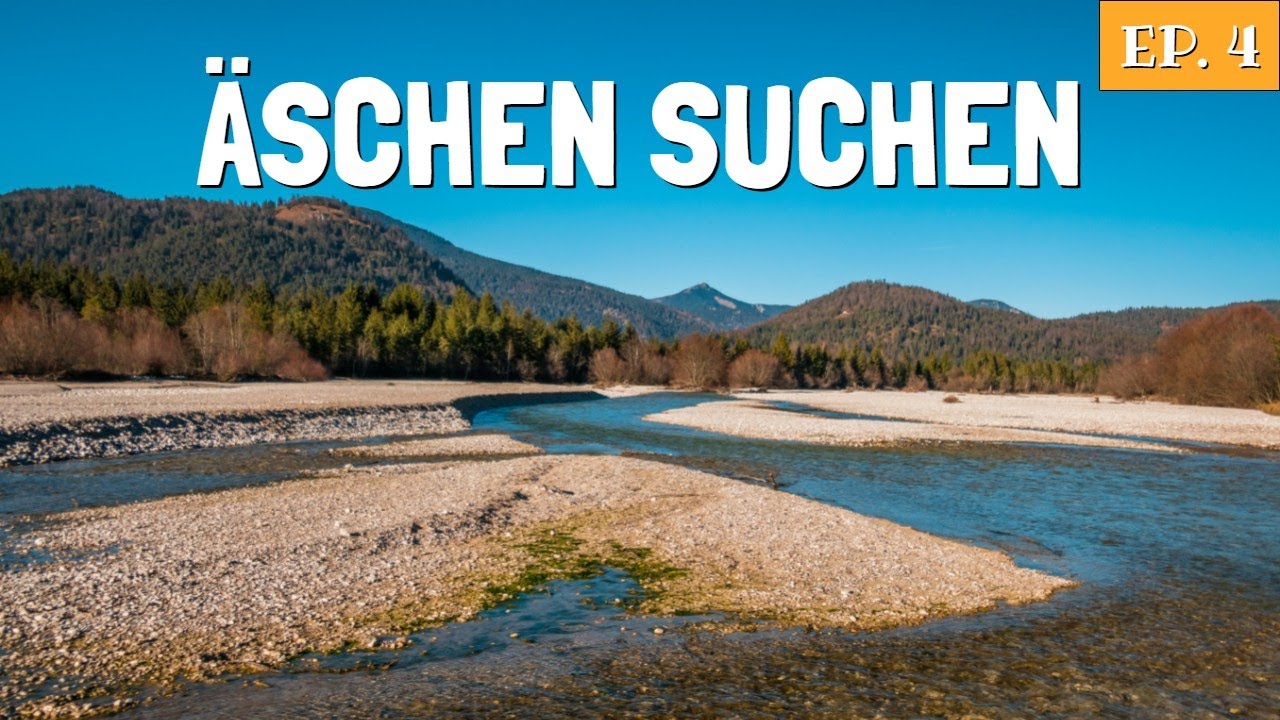 Ich suche die womöglich letzten Äschen dieses Bergflusses | Tal der Äschen ep. 4