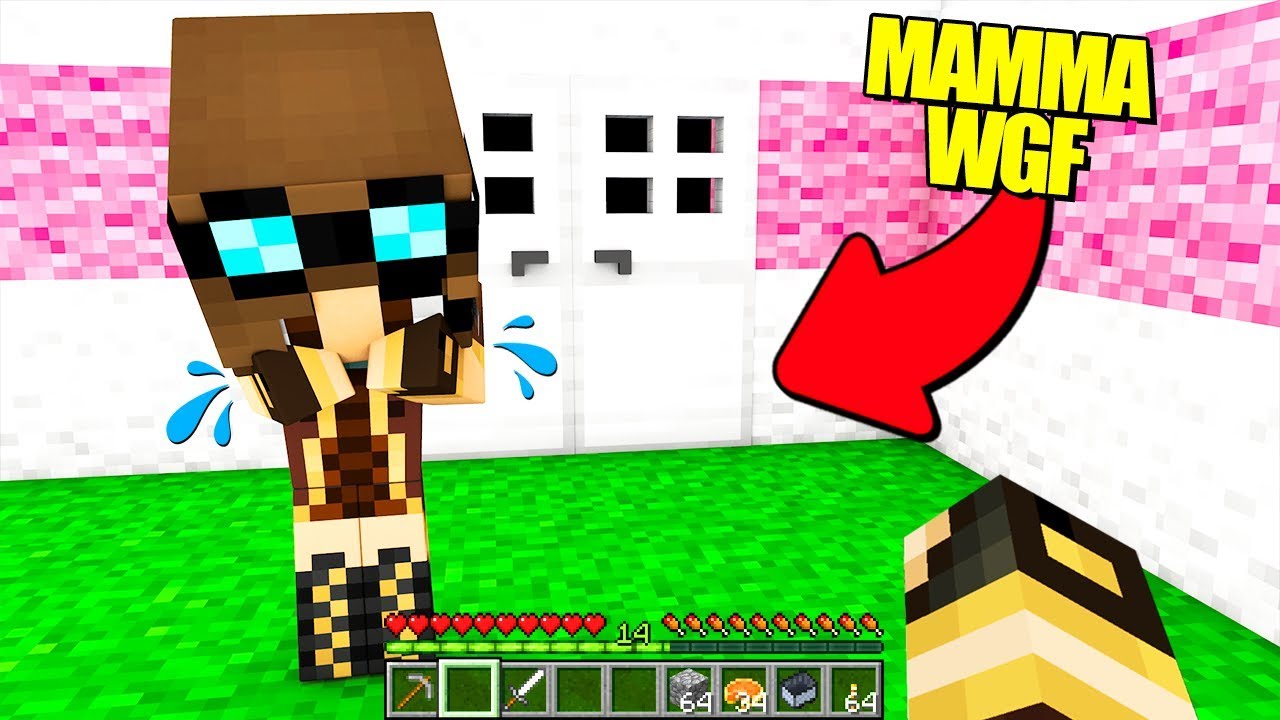 HO FATTO PIANGERE LA MIA MAMMA!!! (Minecraft Grief)
