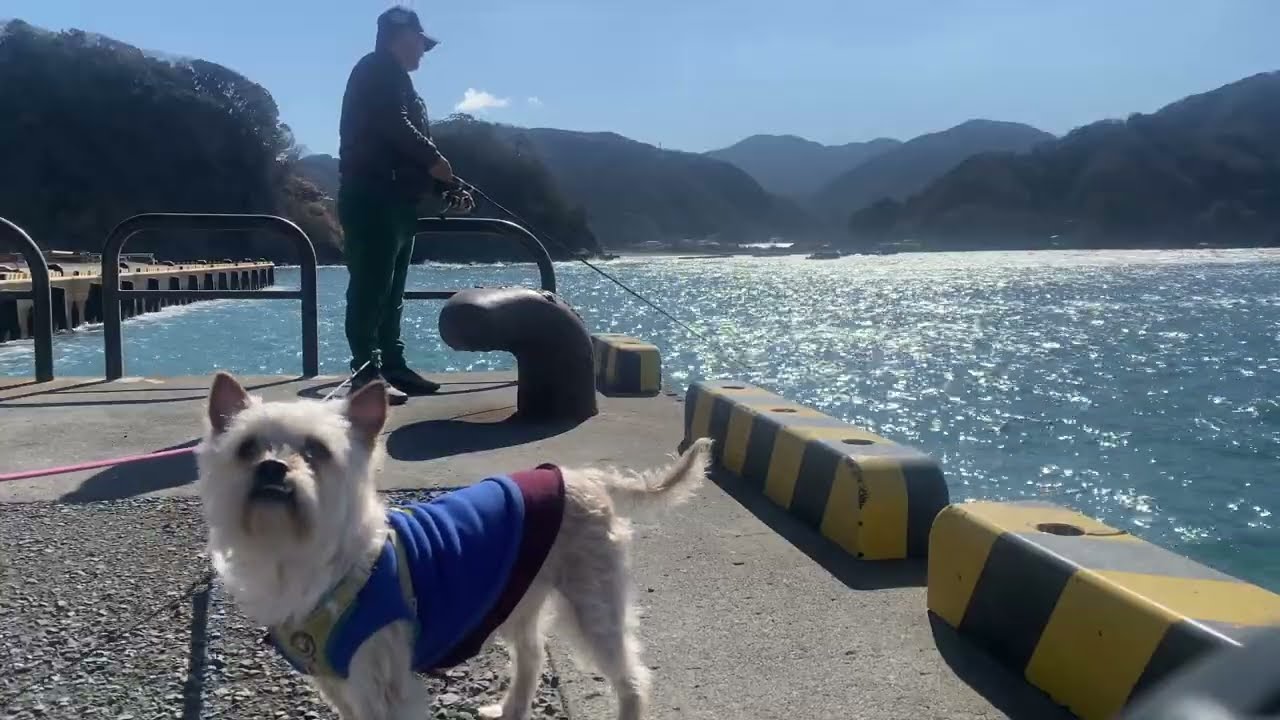 釣り道具. Aparelhos de pesca.
