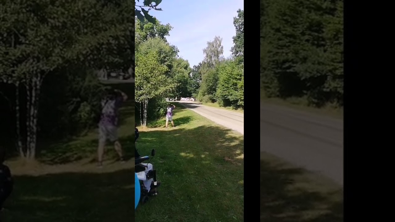 Snapphanerallyt av&aring;kning